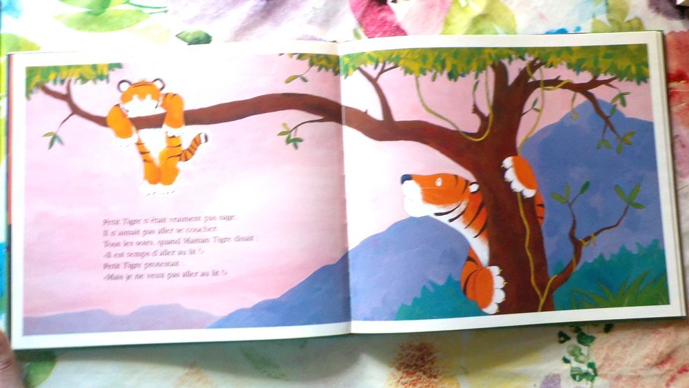JE NE VEUX PAS ALLER AU LIT ! de J. SYKES et T. WARNES Livres et BD