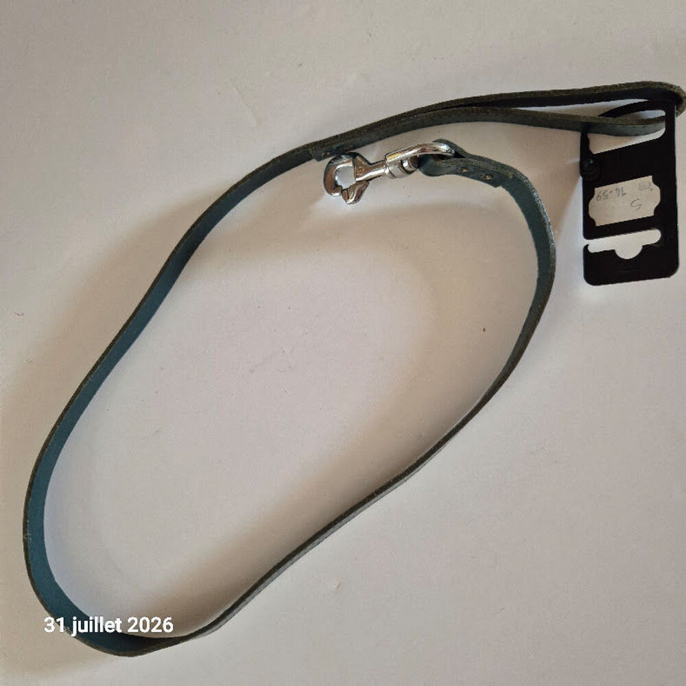 Laisse pour chien en cuir rive simple couleur verte, 2 cm x Sports