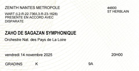 Concert Zaho de sagazan zenith Nantes 14/11 138 Niort (79)