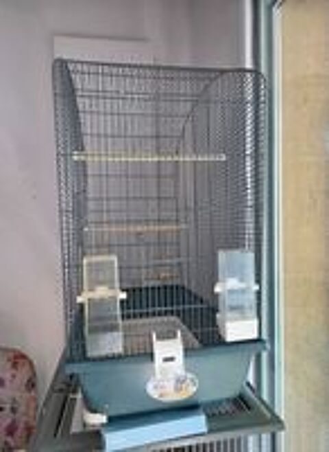   Cage oiseaux  
