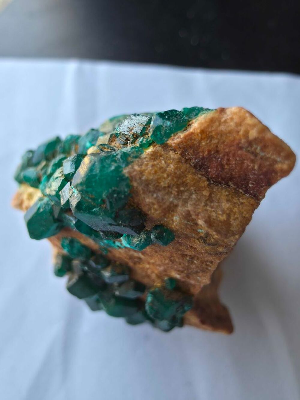 Magnifique Dioptase Brute sur Matrice-Katanga, RDC 