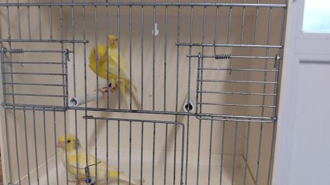 Canaris 20 59270 Mteren