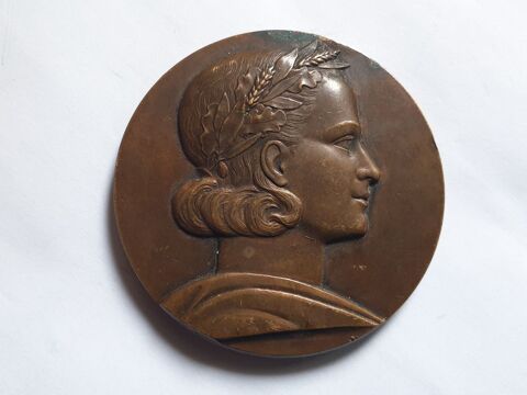 M�daille bronze L.U.N.E.P 50 Bordeaux (33)