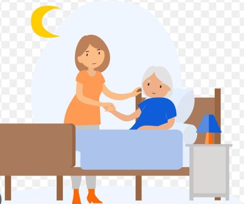 Auxiliaire de vie nuit 77, 91, 94, 75 0 77550 Moissy-cramayel