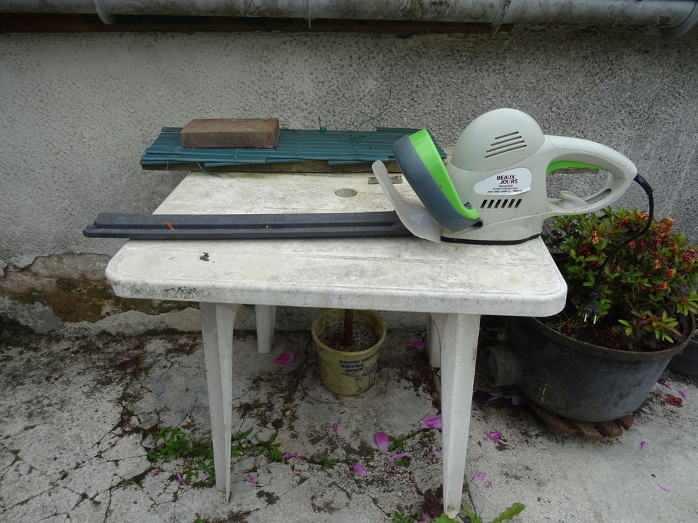 Taille haie Bricolage