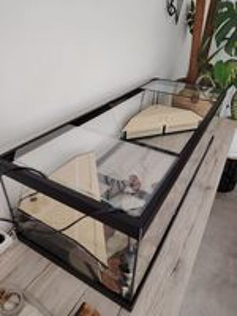   Donne Tortue paelomedusa + terrarium et mat�riel 