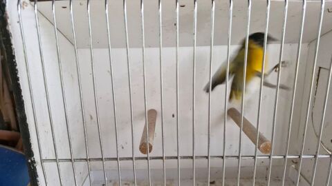 Tarin 0 31220 Le plan