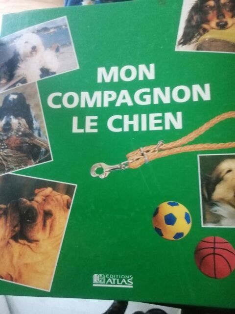 CLASSEUR ET FICHES SUR LES CHIENS 0 Saint-Estève (66)