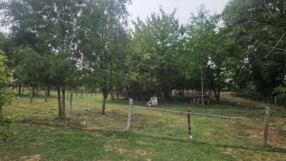 Vente Terrain terrain constructible Cesseins