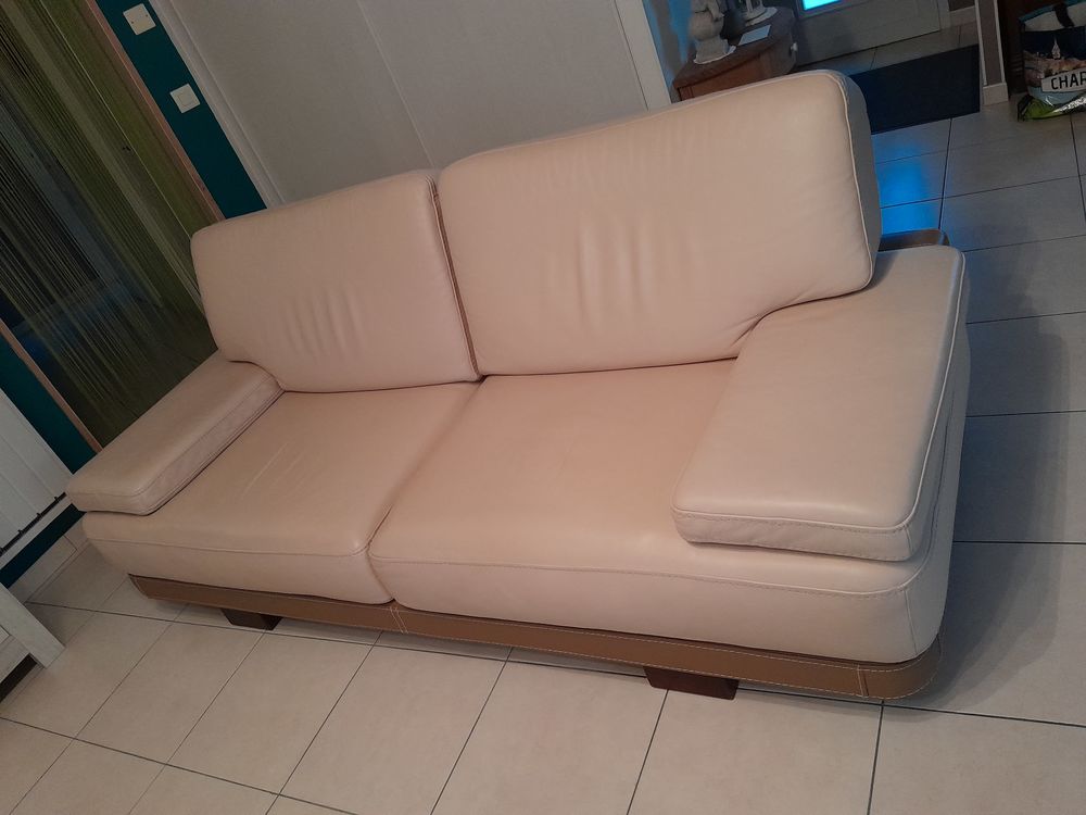 CANAPE CUIR - Meubles