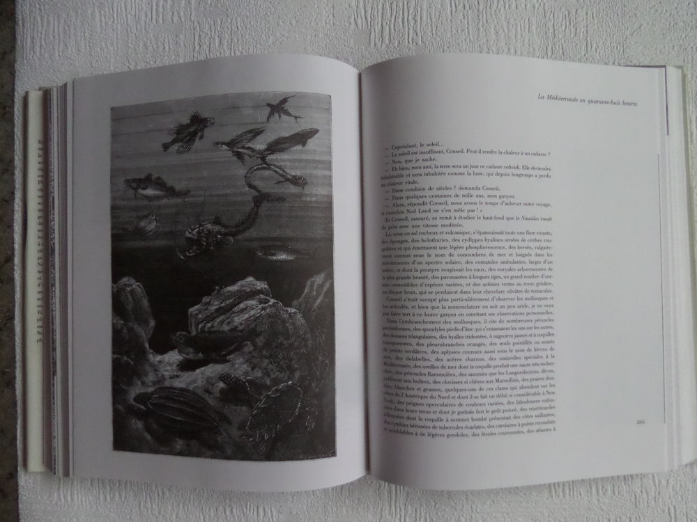 jules verne VINGT MILLIE LIEUES SOUS LES MERS Livres et BD