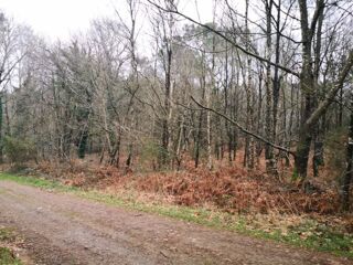  Terrain � vendre 3234 m� P�aule
