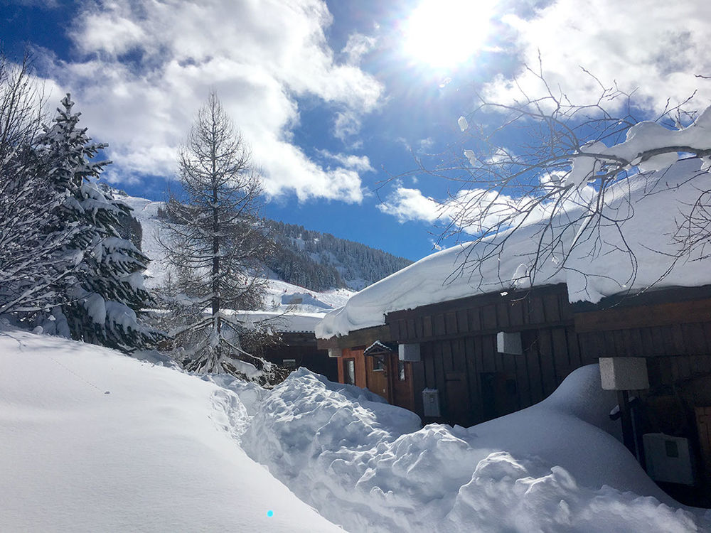   Chalet face aux pistes Les Arcs 1600 Rh�ne-Alpes, Les Arcs (73700)