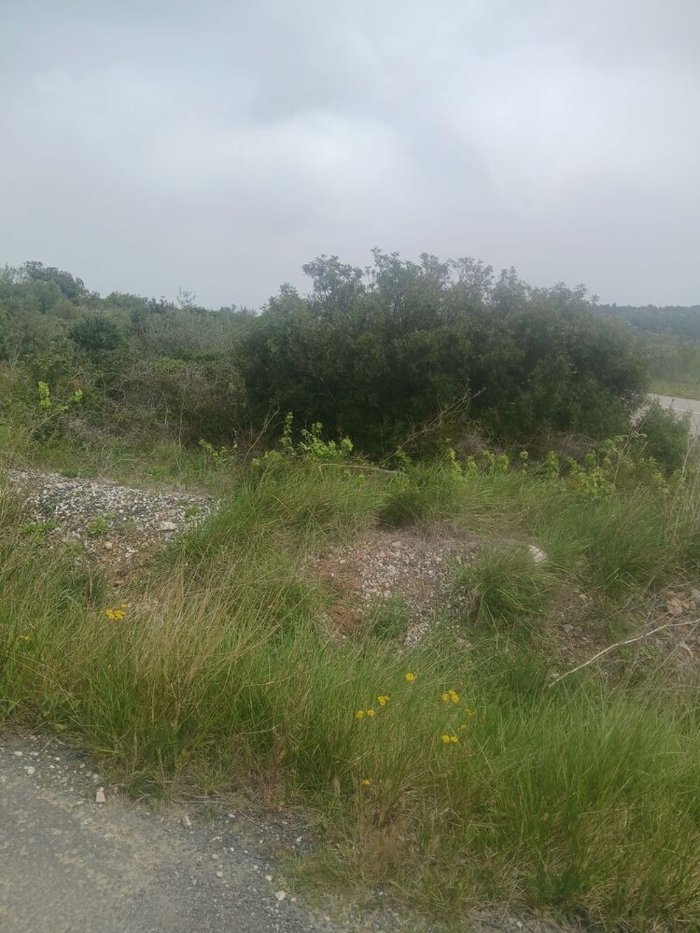 Terrain agricole Jardin