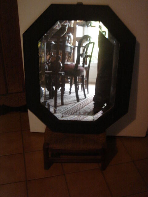 miroir avec encadrement 40 Fougres-sur-Bivre (41)