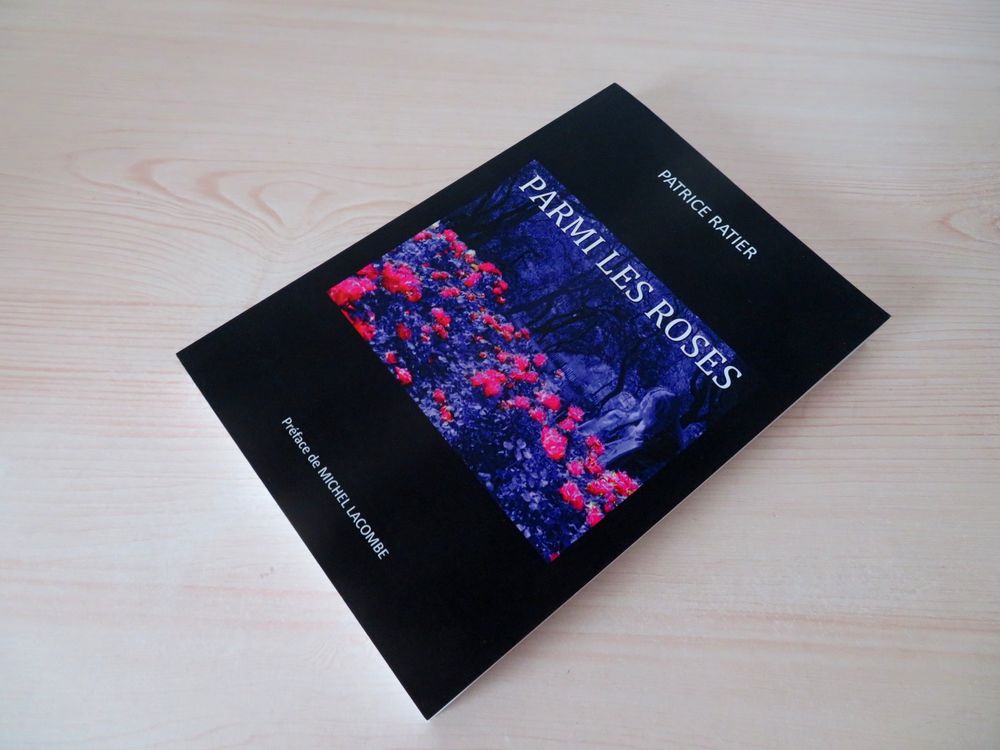 Parmi les Roses Roman fantastique gothique horreur Vampire Livres et BD