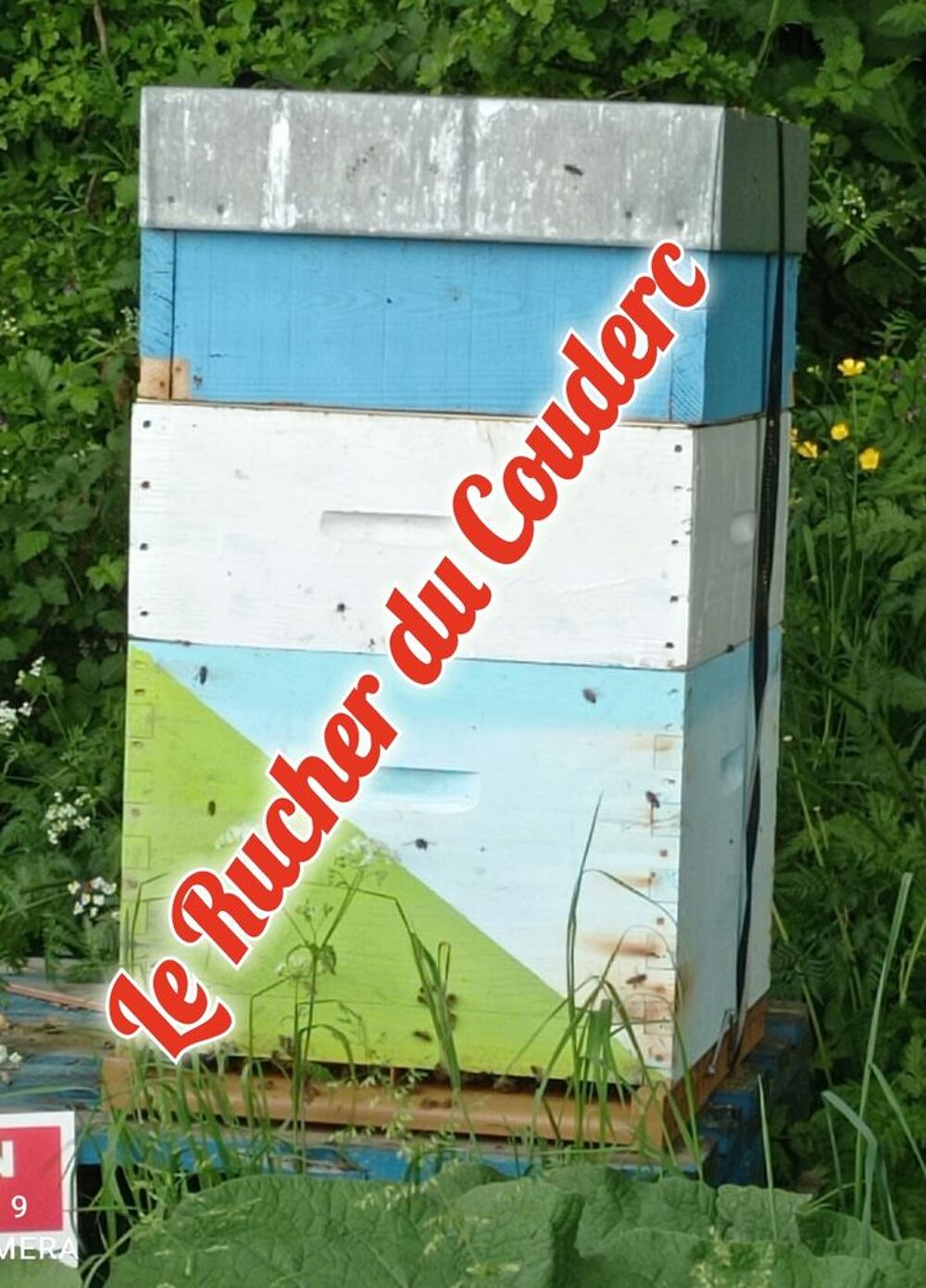 Recherche Ruches et hausses dadant occasion Bricolage