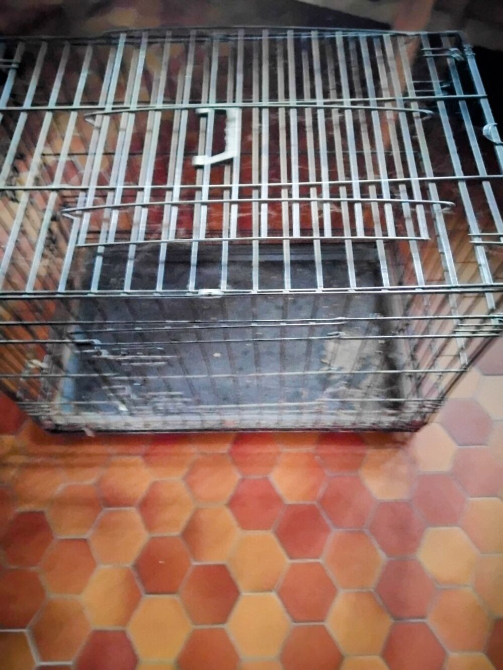   Vds 2 cages de transport  chiens  