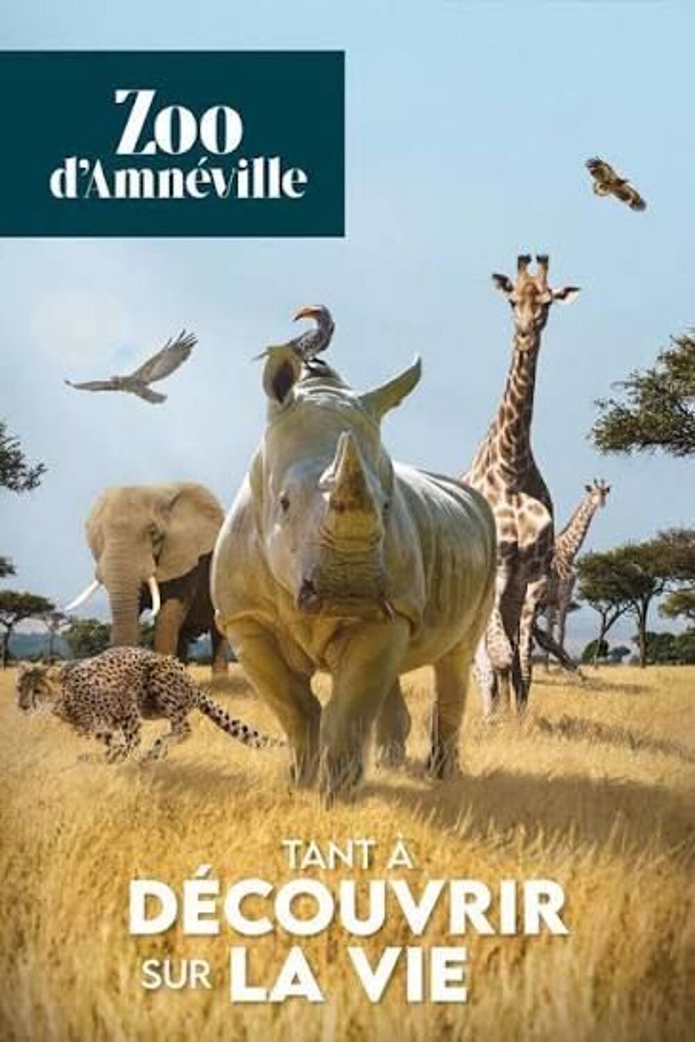 1 e-carte cadeau Wonderbox de 100 EUROS " 100 % Parcs " Billetterie