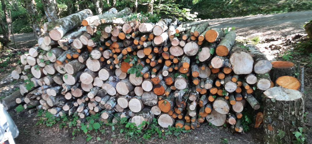 5 st&egrave;res de bois de chauffage Jardin
