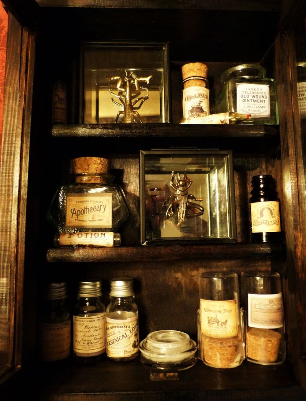 Petit Cabinet de Curiosit&eacute;s"SCIENTIFIC OFFICE XIX" Steampunk Décoration