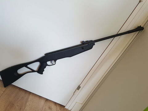 carabine a air comprim 79 Longueau (80)