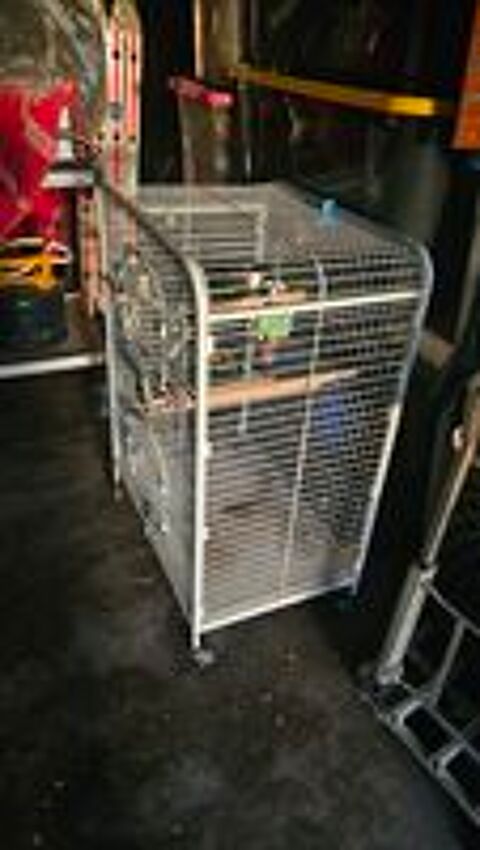   Cage perroquet  