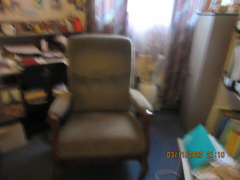 BEAU FAUTEUIL D INTERIEUR 50 La M�zi�re (35)