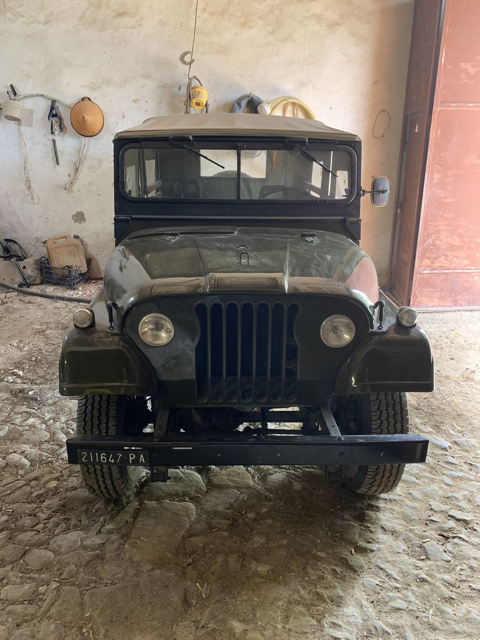 Jeep Willys Jeep 1968 occasion PALERMO 