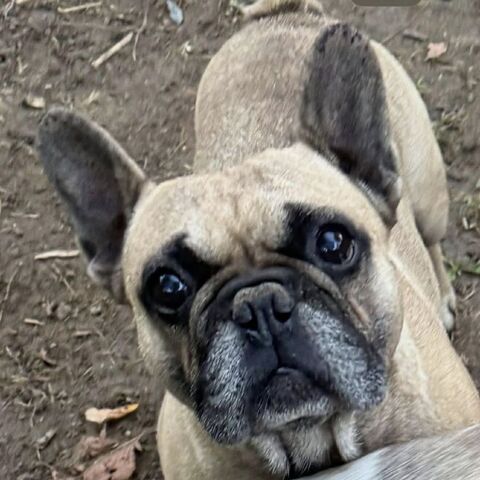 MAIKO 50 26270 Loriol-sur-dr�me