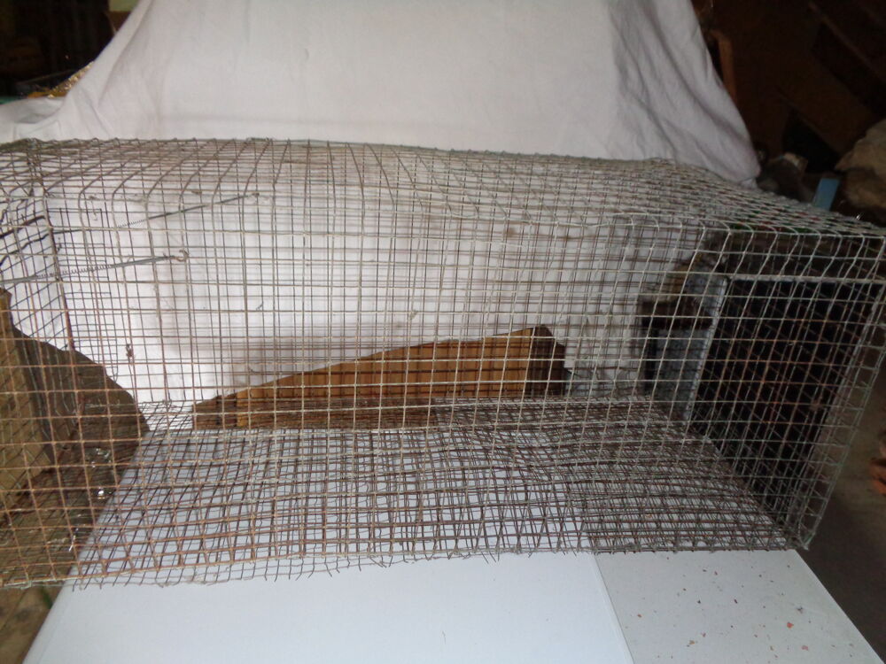 cages en tout grillage pour transport animaux et plus Bricolage