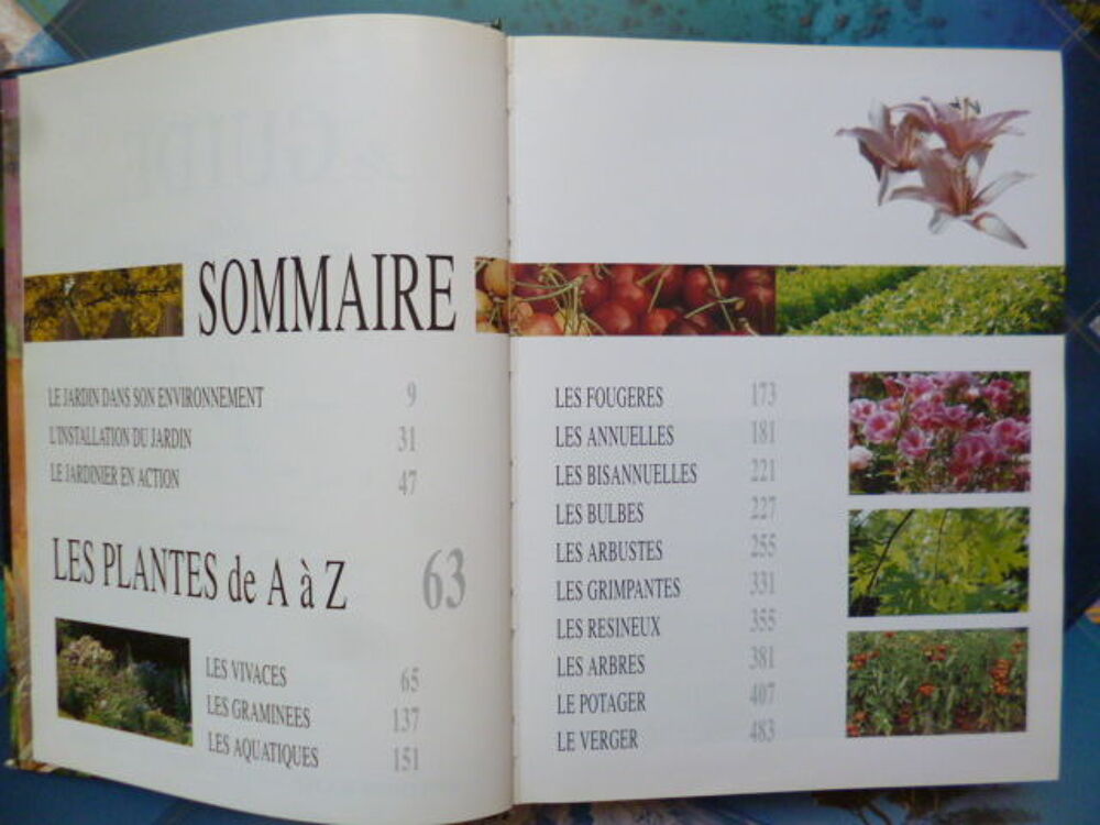 Le guide du jardin facile de Pierre Nessmann - zoe
.
Jardin