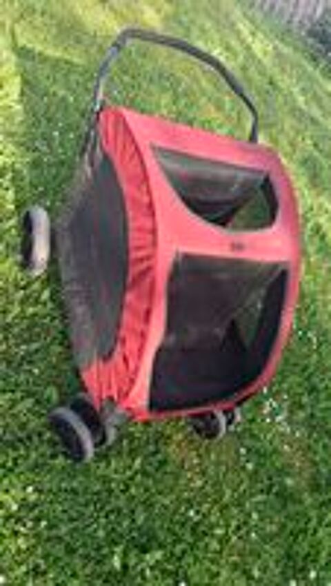   poussette pour chien 