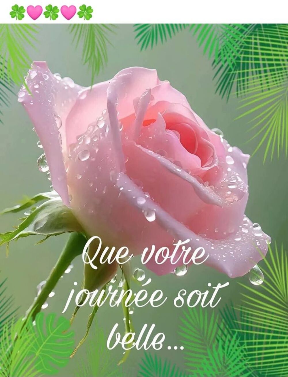 Parasol Jardin