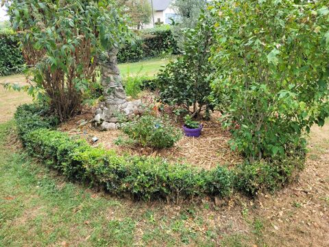  change tortue mle 10 ans environ 
Contre femelle 10  15 81340 Cadix