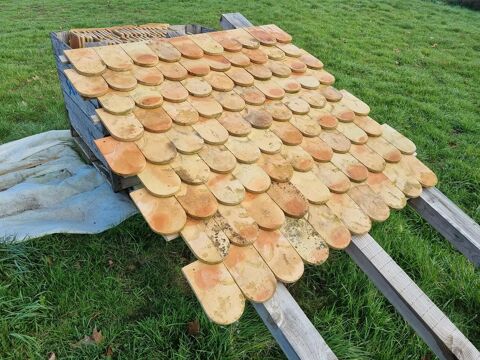 tuiles plates ecailles 25 Toulouse (31)