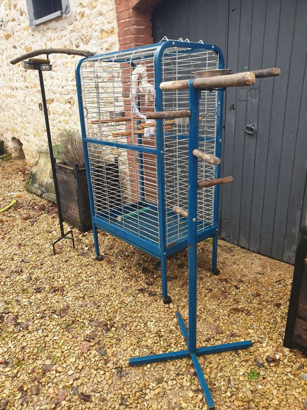 Perroquet CAGE Jardin