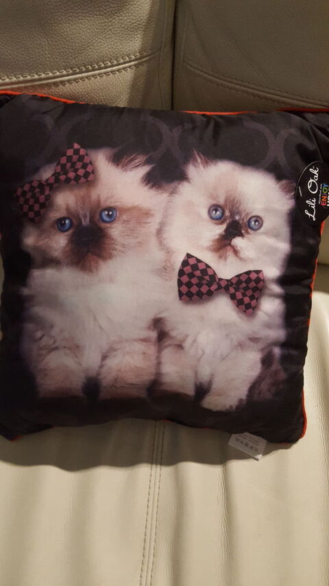 Coussin chat 10 Ste (34)
