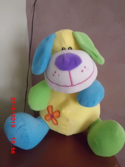 CHIEN MULTICOLORE SANDY 15 Oignies (62)