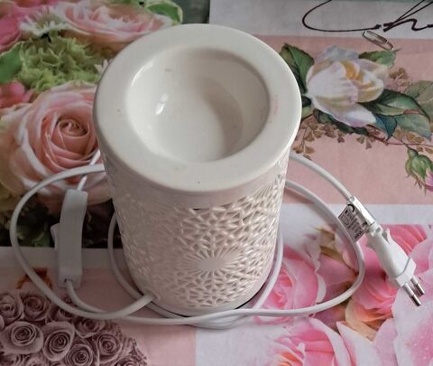 Diffuseur lectrique 8 Saran (45)