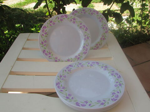 ASSIETTES MELAMINE 10 Hry-sur-Alby (74)