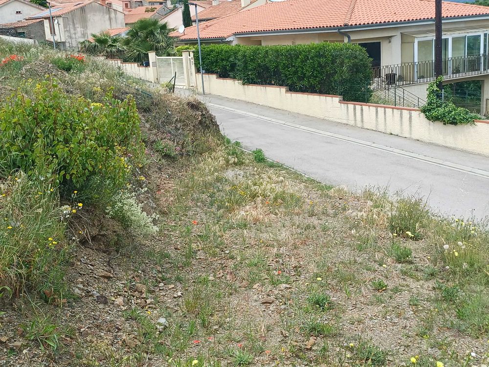 Vente Terrain terrain constructible pour 2 maisons Montner