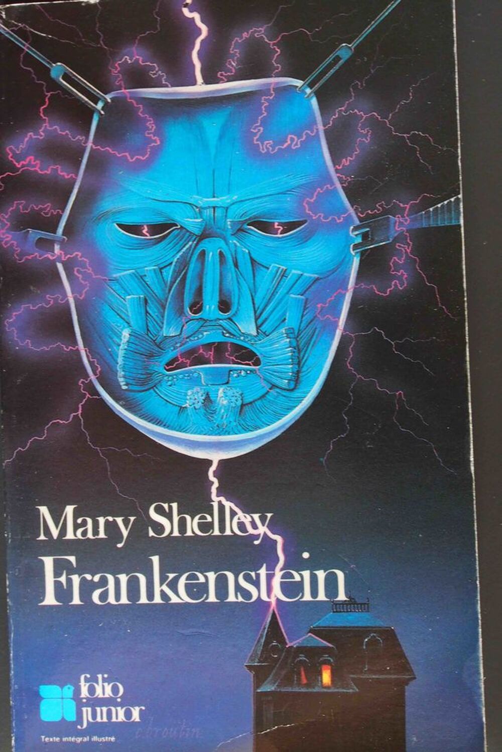 Frankenstein Mary Shelley Livres et BD