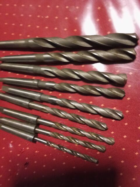 9 For�ts coniques  60 �guilles (13)