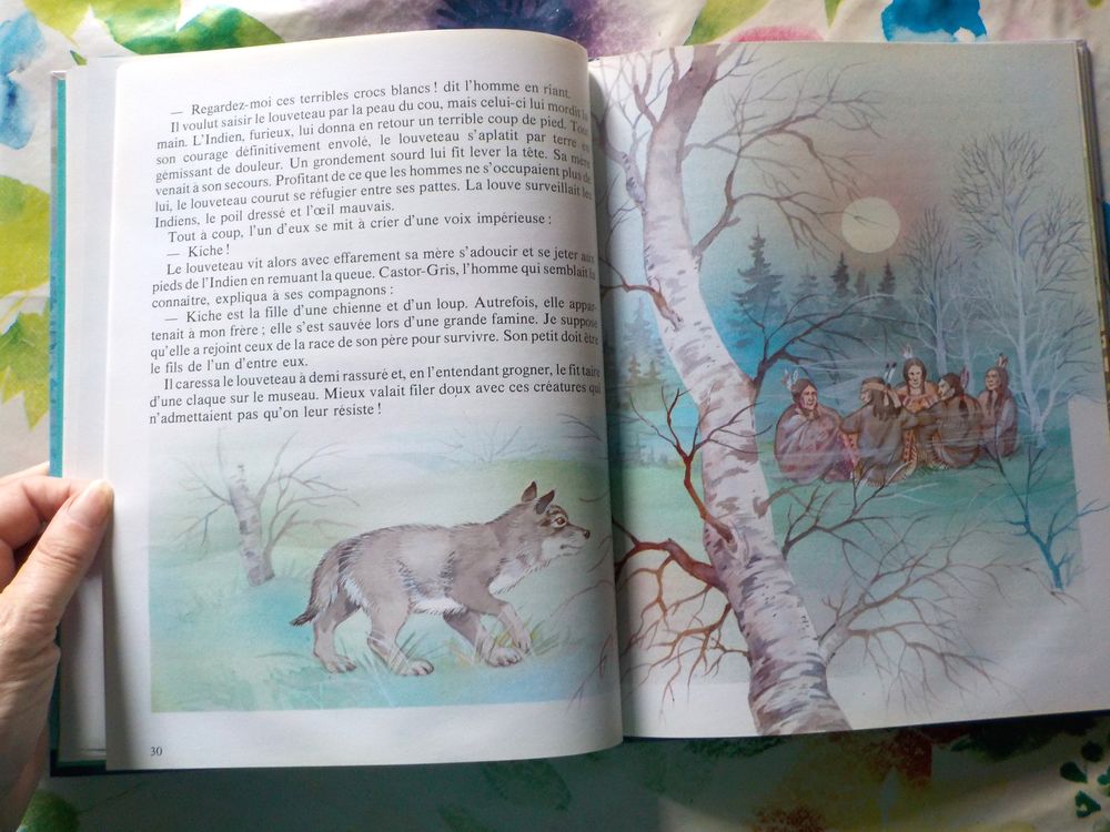 CROC BLANC de Jack LONDON Illustr&eacute; par M. GORDE Ed. Lito Livres et BD