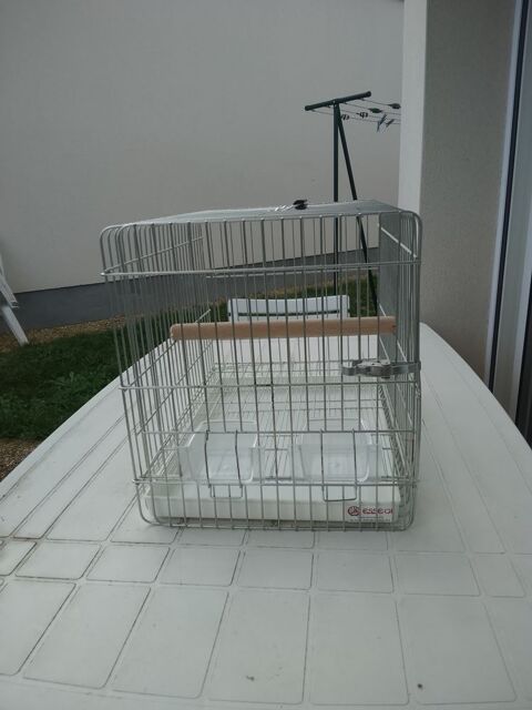 Cage de transport oiseaux 50 86340 Roches-pr�marie-andill�