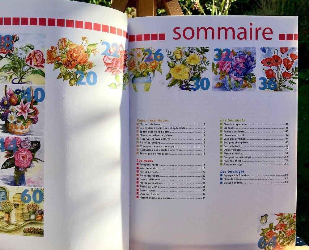 Fleurs &agrave; l'aquarelle ; Beau grand livre de techniques art Livres et BD