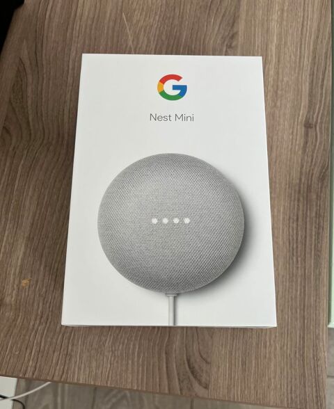 Google Nest Mini 25 Roanne (42)