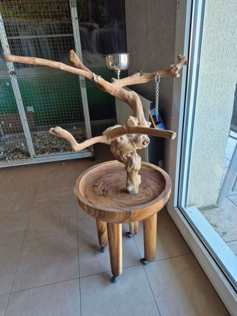 Arbre de Java perruches/perroquets sur table de caf&eacute;ier 290 40200 Mimizan