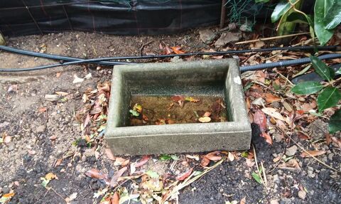 Auge 40 Saint-Sigismond (49)